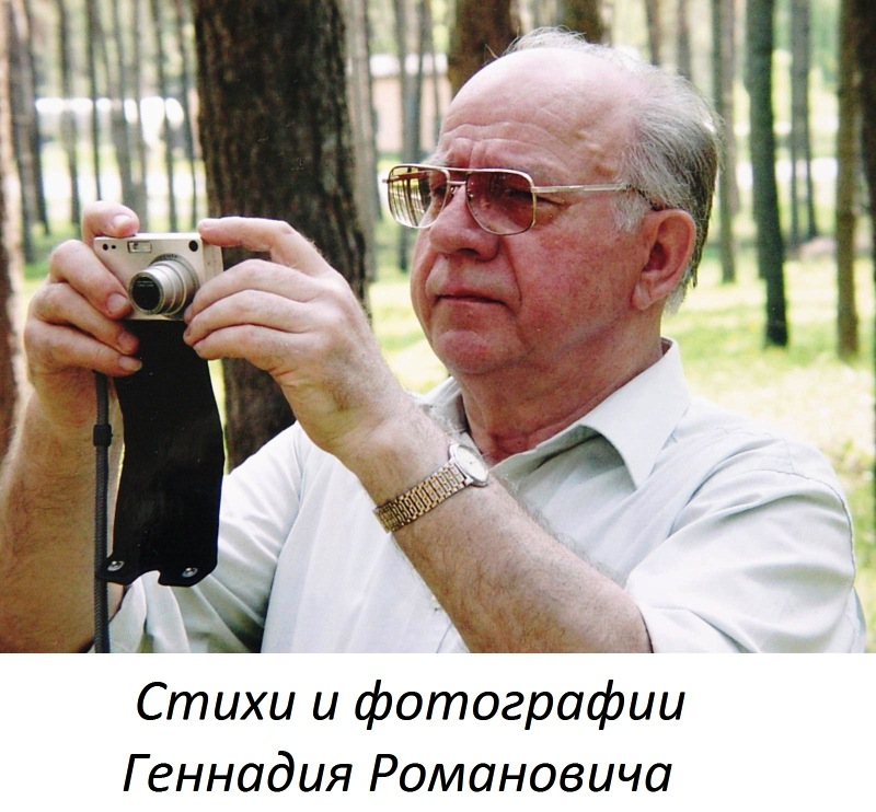 Нажмите для просмотра в полном размере