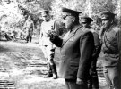 Файл : image_11766.jpg
Размер файла: 84KB
Размеры : 800x592
Дата добавления : 07 Сент 2012г. image_11766.jpg