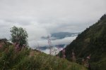 image_45125.jpg